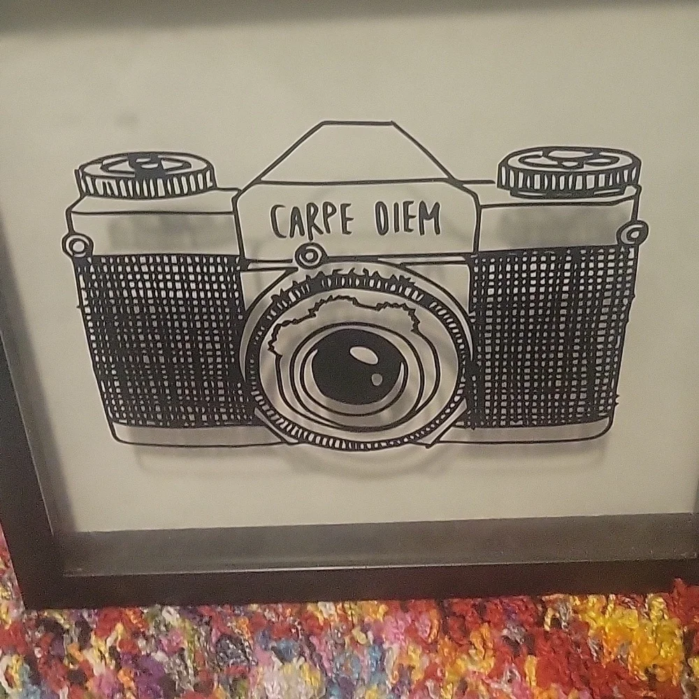 Unbranded Capre Diem Shadow Box Style Wall Decor 12x12